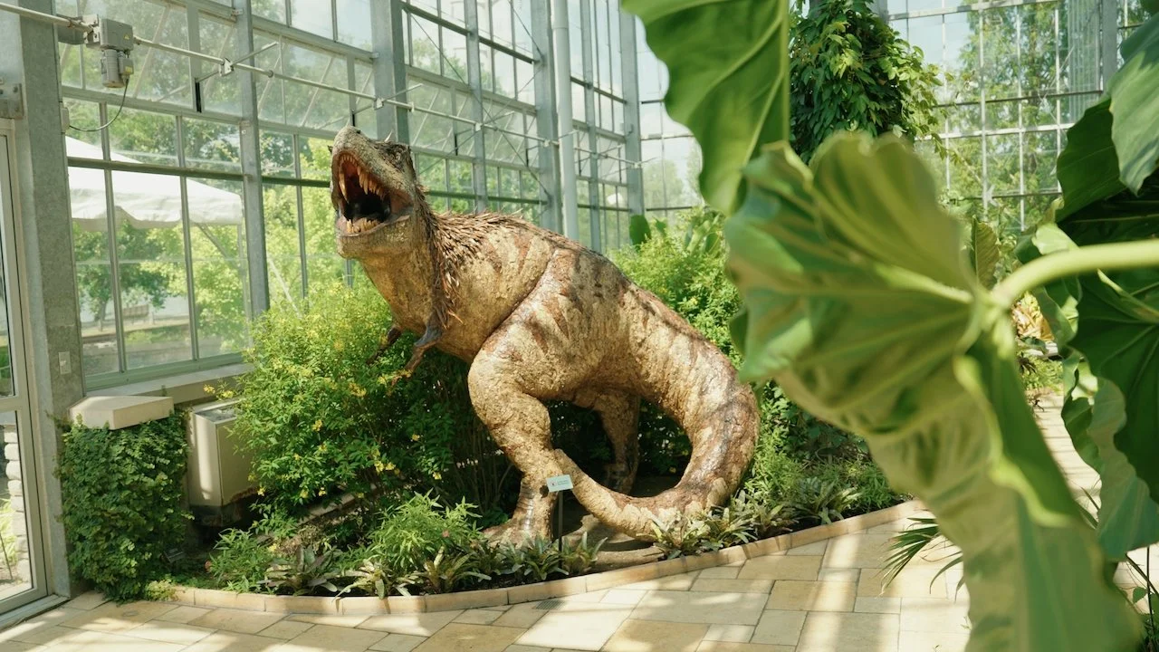 Dinosaurs — Nicholas Conservatory & Gardens